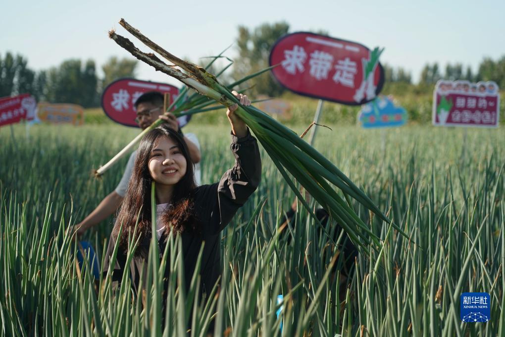 蜂鸟娱乐苹果手机下载