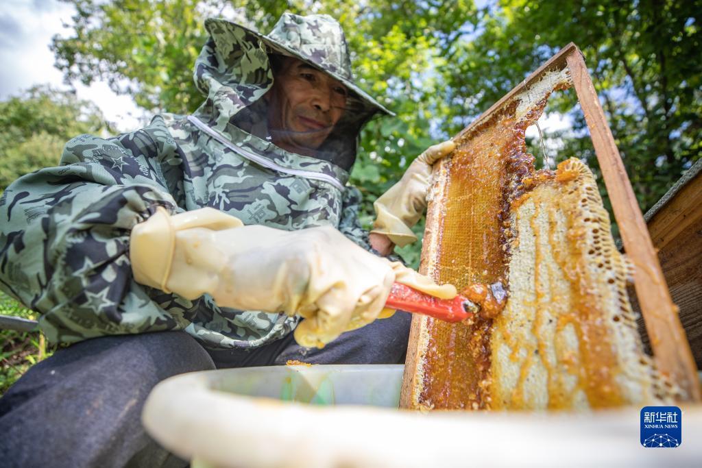 指尖捕鱼游戏最新版